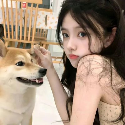 无声的证言第二十六季